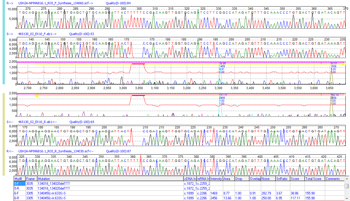 dna sequencing sequencher heterozygous mutations